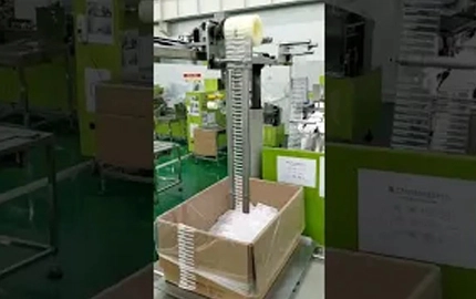 Carton Placement Machine